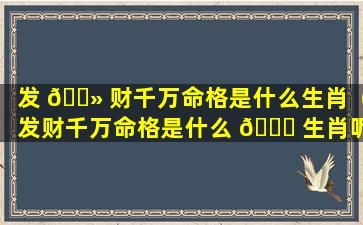 发 🌻 财千万命格是什么生肖（发财千万命格是什么 🐛 生肖呢）